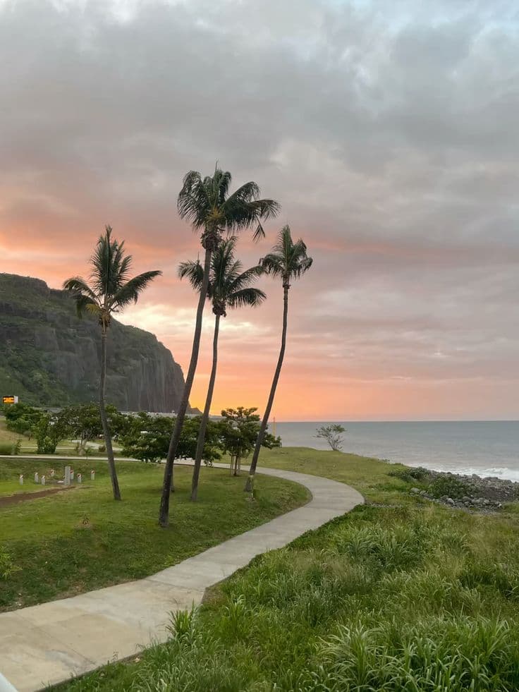 VTC pour les activités aériennes à La Réunion : ULM, parapente, hélico