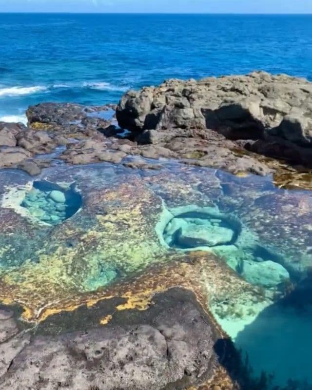 Plongée sous-marine à La Réunion : les sites et comment s'y rendre